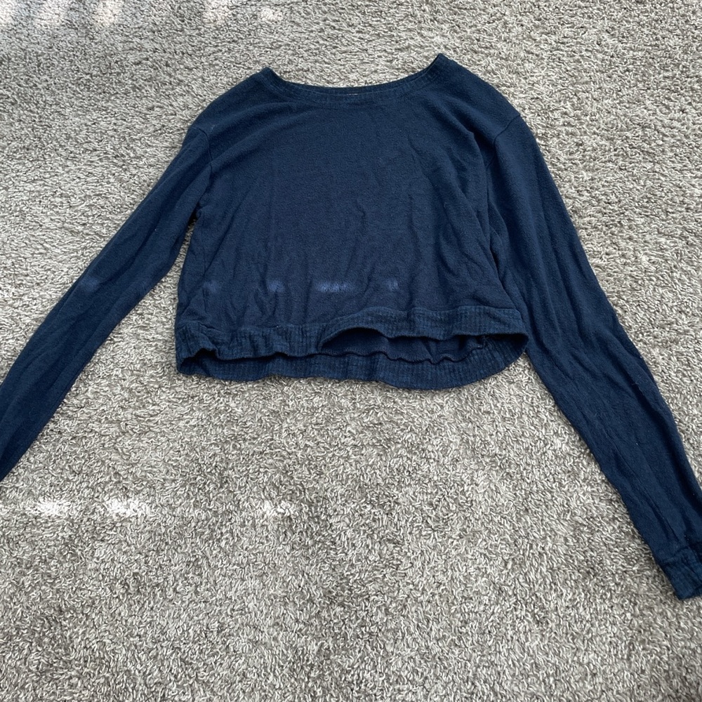 Brandy Melville long sleeve cropped blue sweater